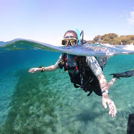 Armonia Elegant * Rovies