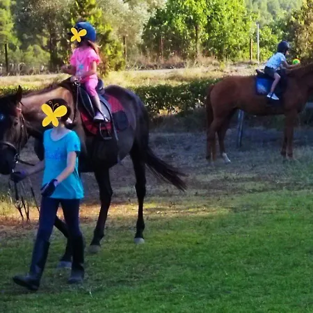 Apartmán Armonia Elegant Rovies