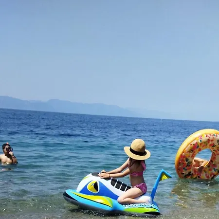 Armonia Elegant Rovies